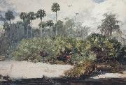 Winslow Homer In a Florida Jungle (mk44) oil painting picture wholesale